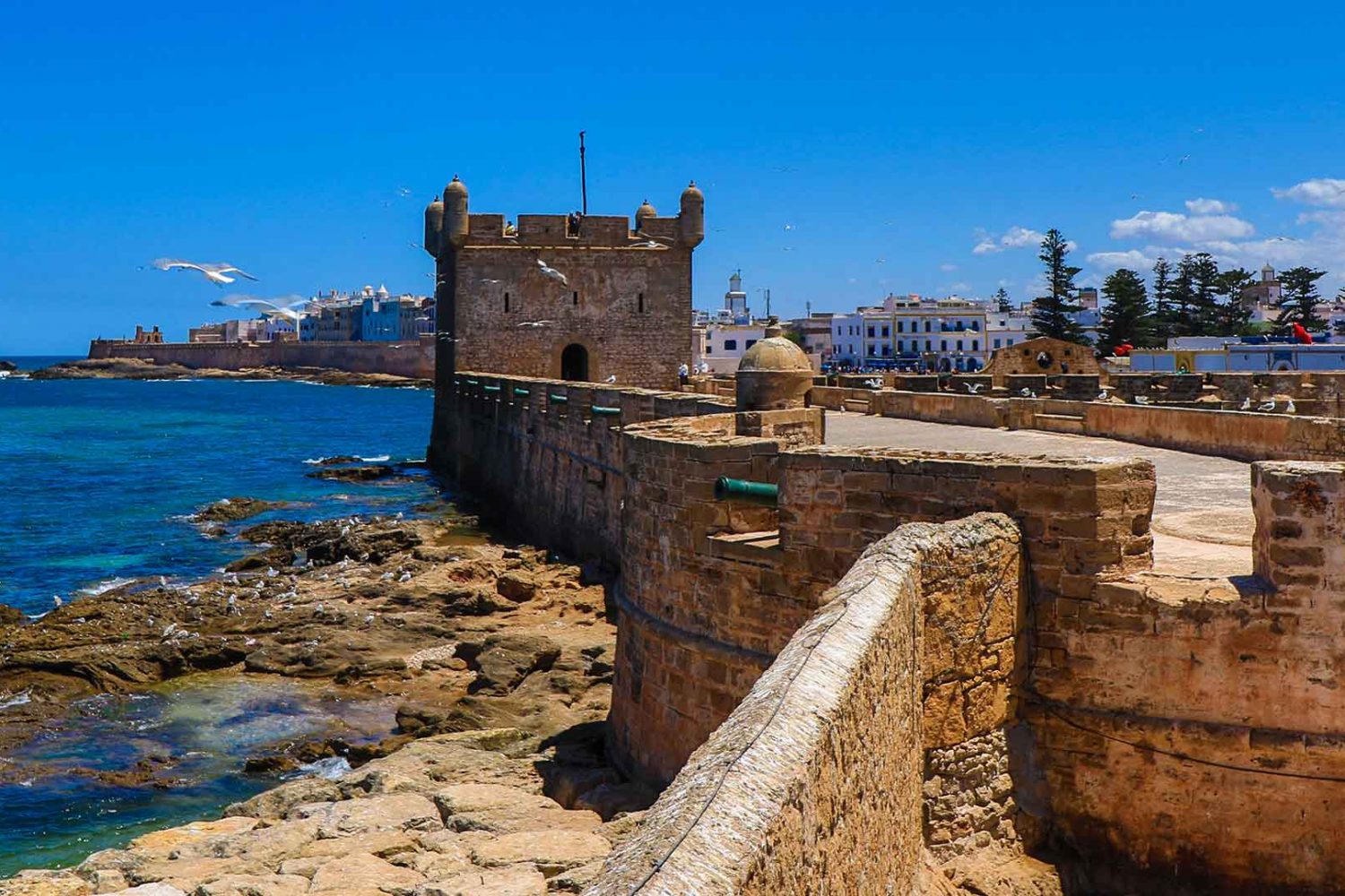 Essaouira 